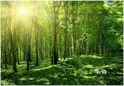 【最新】湖南省加強(qiáng)和規(guī)范建設(shè)項(xiàng)目使用林地審核審批管理工作的通知 【最新】湖南省加強(qiáng)和規(guī)范建設(shè)項(xiàng)目使用林地審核審批管理工作的通知