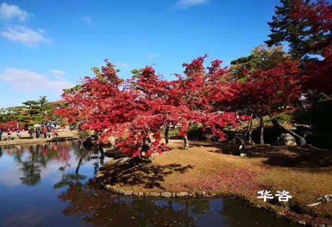 華咨公司交通工程師團隊赴江西南昌就藥材小鎮(zhèn)建設項目開展交通量現(xiàn)狀調研