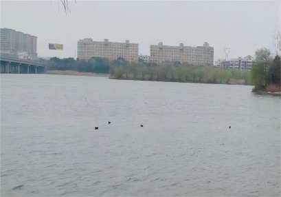 岳陽航評案例,岳陽通航安全保障方案,通航安全評估 岳陽航評案例,岳陽通航安全保障方案,通航安全評估