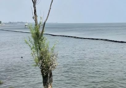 航評,邵陽市橋梁施工航道評價,通航安全保障方案編制 航評,邵陽市橋梁施工航道評價,通航安全保障方案編制